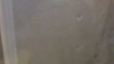 lovegirlscallme online show from March 7, 10:40 pm