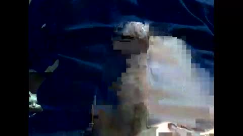 PencilDick online show from December 22, 9:33 am