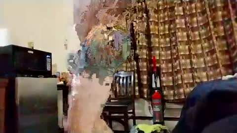 Snapshot of goblue4133 chatting on December 29, 10:36 pm goblue4133 online show from December 29, 10:36 pm