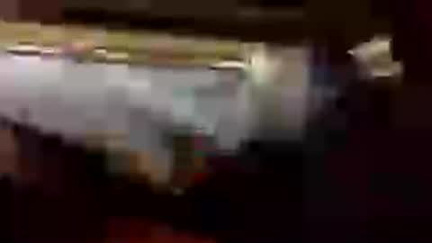 gogome794 online show from June 28, 12:27 am