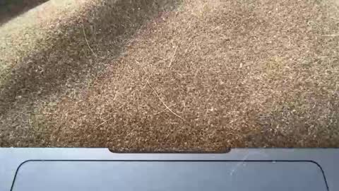 Jon online show from December 16, 5:31 pm