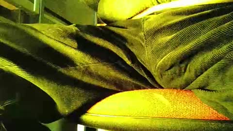 grapefruit online show from November 5, 12:07 pm