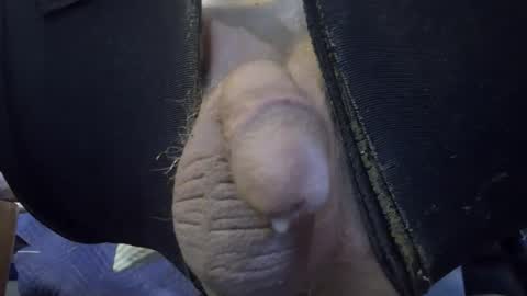 electrogee1 online show from February 19, 12:30 am