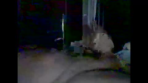 grittslappa online show from May 30, 12:43 am