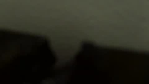 gronnn online show from January 18, 4:03 am