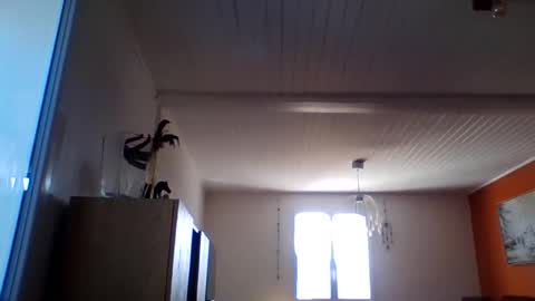 Grybear online show from March 26, 10:08 am