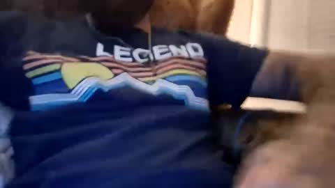 handylong88 online show from September 24, 4:01 am