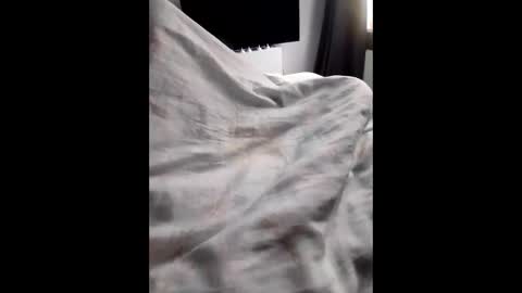 hank0009 online show from October 26, 3:03 pm