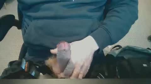 Whallaboo online show from December 19, 10:34 am