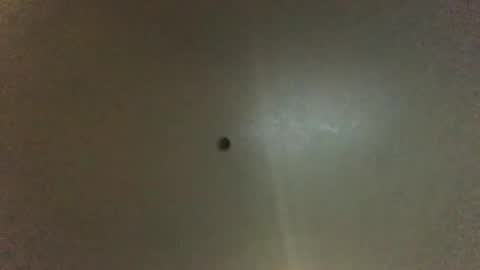 For You online show from February 11, 9:31 am