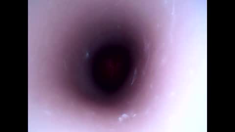 hardhammerboy online show from January 1, 8:26 pm