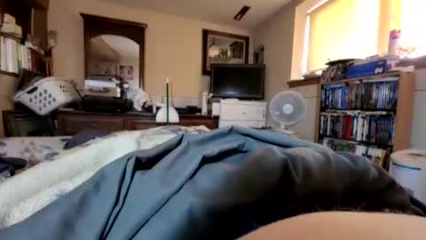 hawkfan1888 online show from January 25, 9:46 pm