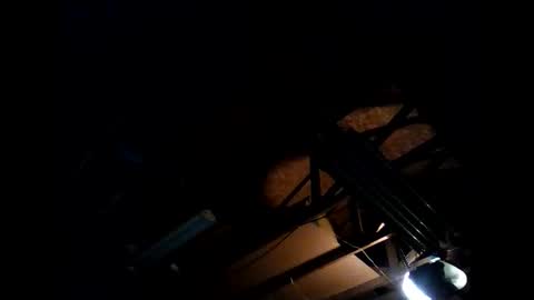 hbdj2164 online show from November 26, 8:28 am