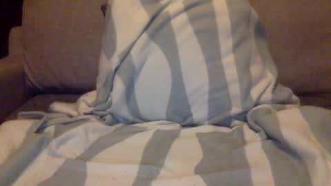 fit uk decorator online show from February 19, 11:06 am