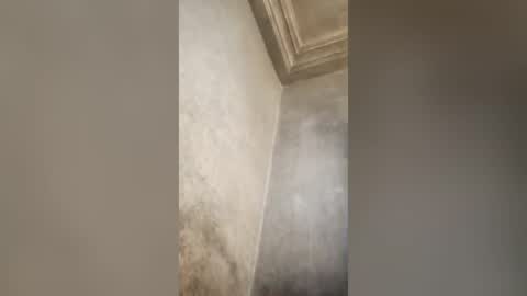 hook9sex online show from July 29, 10:36 am