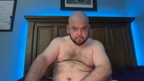 hornazzbear online show from February 15, 7:51 am