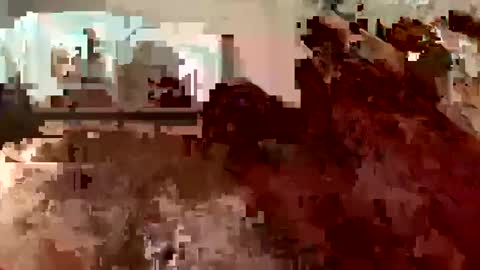 hornieecum online show from December 18, 11:45 am