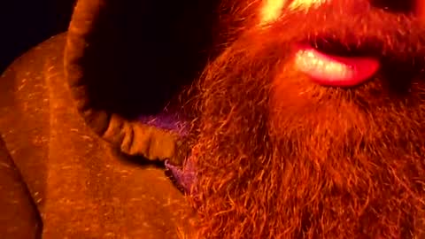 horse9ram5 online show from December 6, 8:05 am