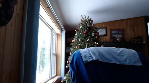 horsebigballs online show from January 17, 7:31 pm