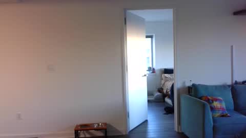 Horus00 online show from December 20, 12:34 pm