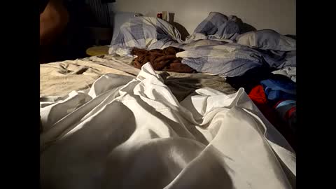 hotrox6942 online show from November 28, 9:00 am