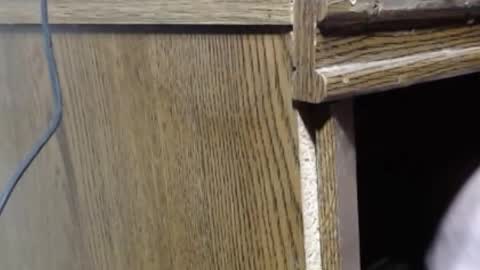 hungsofine online show from December 26, 7:27 pm