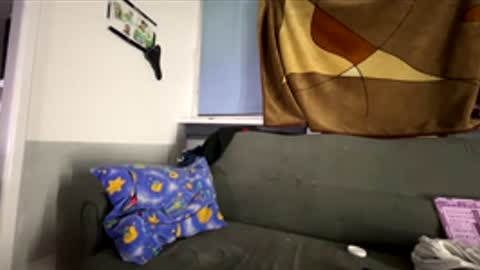 ibigboy666 online show from February 27, 2:13 am