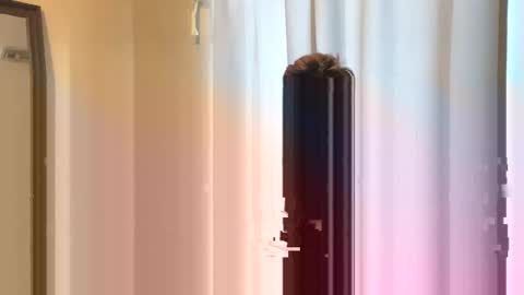 icarus240 online show from December 21, 11:24 pm