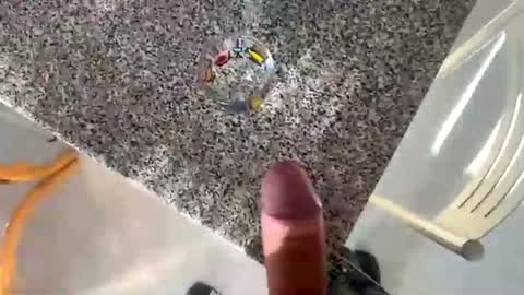 ilconte81 online show from October 30, 2:40 pm