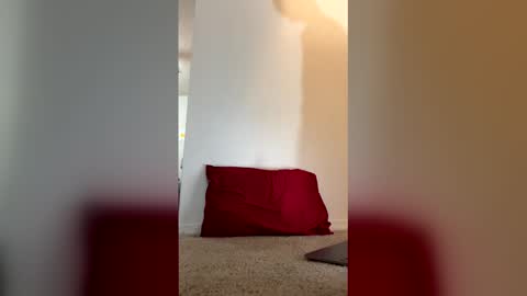 imdirtydan024 online show from May 29, 6:12 am