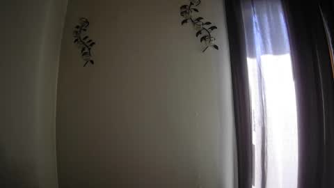 Snapshot of imnewherelollol chatting on September 29, 2:57 pm Majordadbod101 online show from September 29, 2:57 pm