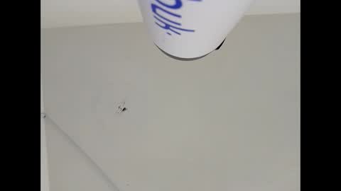 Vanchi online show from October 9, 4:50 am