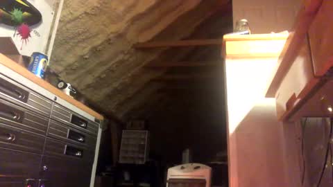 That  Guy  online show from January 28, 2:11 am