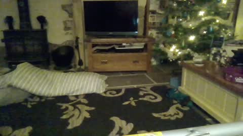 Snapshot of j4ckcock chatting on December 27, 10:59 pm J4ckcock online show from December 27, 10:59 pm