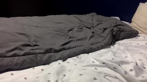 jamecee online show from November 5, 8:49 am