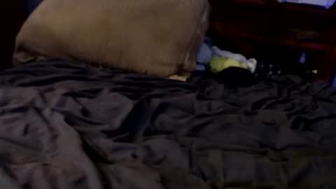 what you in too online show from October 13, 9:37 am