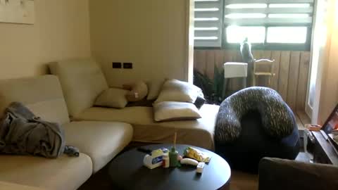 Snapshot of jamesmo820913 chatting on October 11, 2:26 am jamesmo820913 online show from October 11, 2:26 am