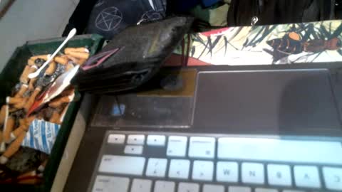 jaxxx666 online show from February 25, 2:36 am