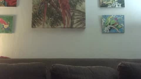 jay-jay1475 online show from April 13, 7:58 pm