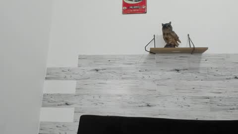 Jaycreedd online show from November 7, 4:05 am