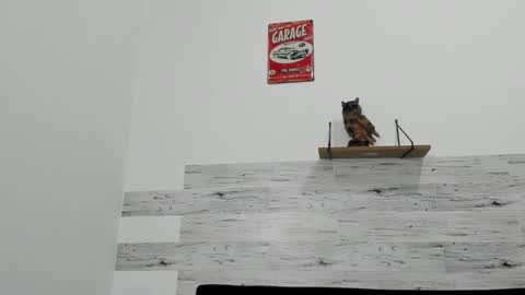 Jaycreedd online show from November 27, 4:27 am