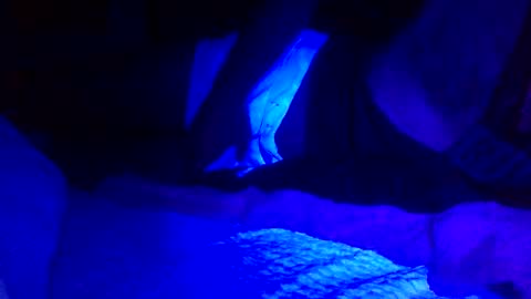 Jaysobricked online show from February 7, 6:35 am