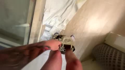 jbigblue online show from April 26, 12:52 am