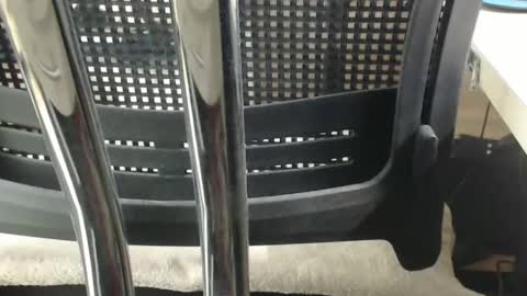 jc200000 online show from February 17, 6:37 pm