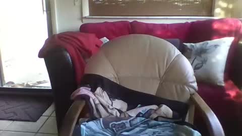 JD online show from February 25, 12:50 pm