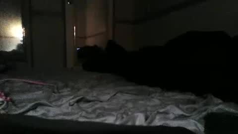 jefrojethro online show from September 13, 9:43 am