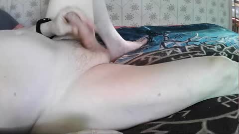 jellykulli online show from September 26, 8:12 am