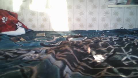 jellykulli online show from January 18, 9:34 am