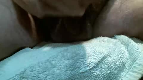 Jelly online show from April 19, 8:14 am