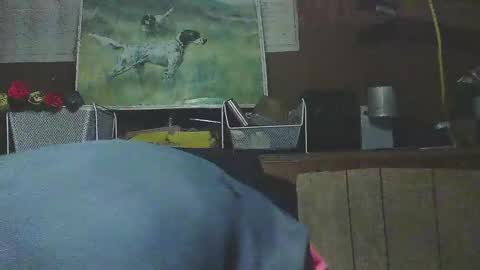 Snapshot of jessiehammerdik chatting on March 12, 7:13 am Dixon Cider online show from March 12, 7:13 am